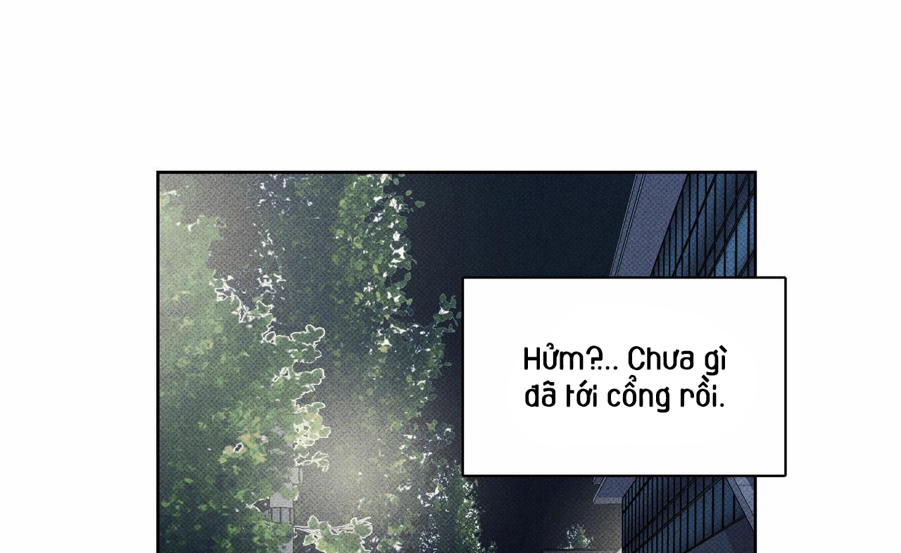 chàng giao pizza và gold palace chapter 24 234