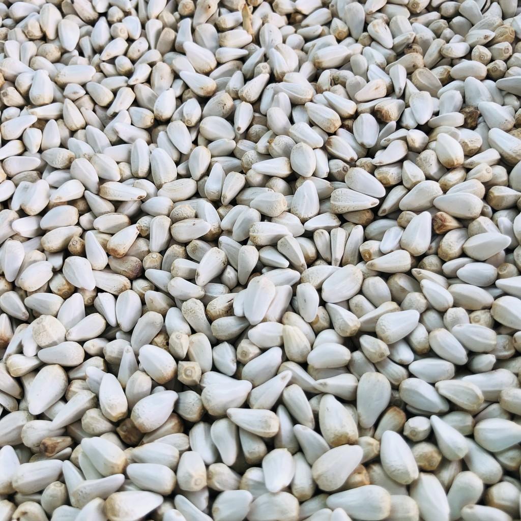 Hạt Kham, thức ăn cho thú cưng chim cảnh, vẹt, Hamster, gà đá, sóc, nhím