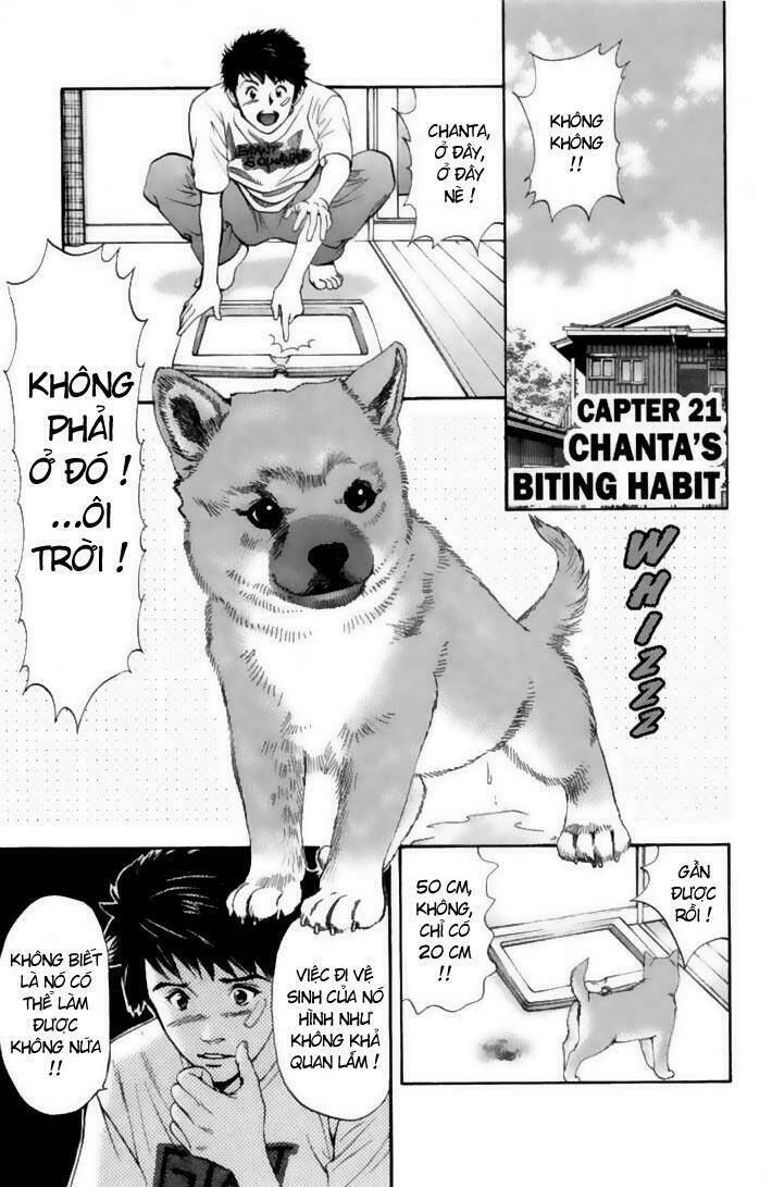 cô nàng yêu chó chapter 21 1