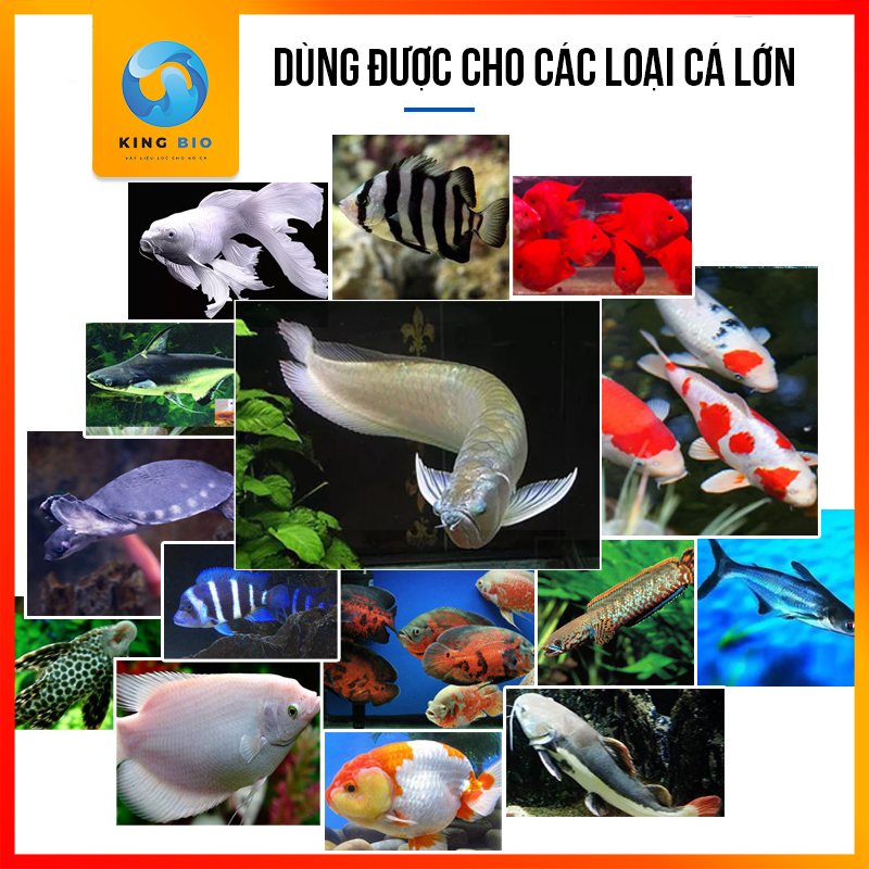 Cám cao cấp siêu đạm trên 50% giàu dinh dưỡng và vitamin cho cá cảnh