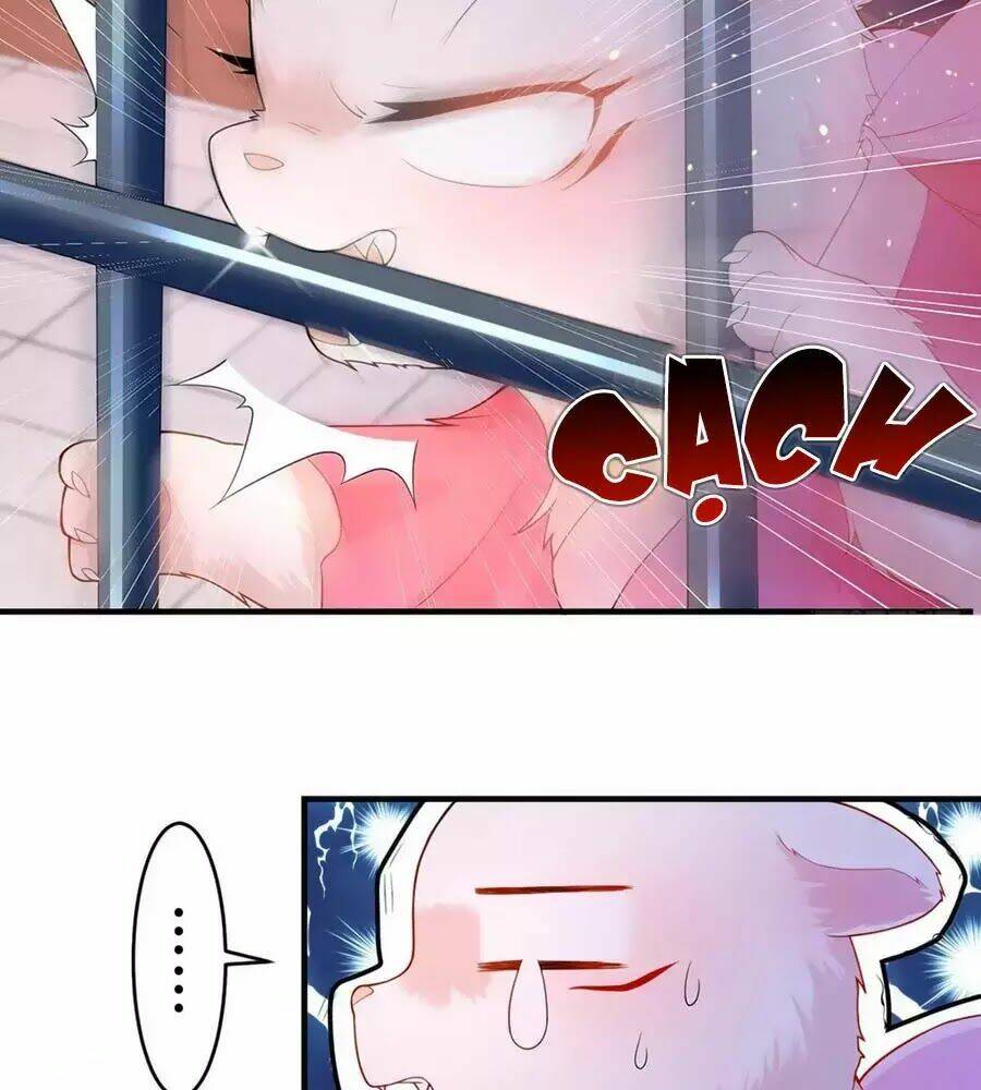 dưỡng thú vi phi chapter 6 2