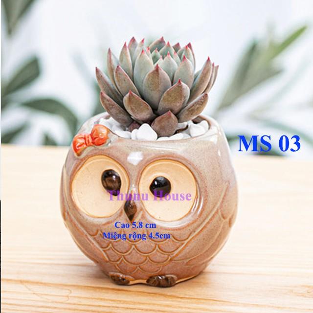 Chậu Cú mèo mini bằng sứ