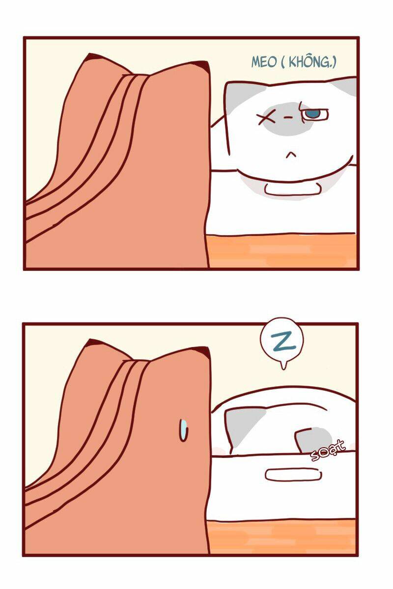 saphie: chú mèo một mắt chapter 14 3