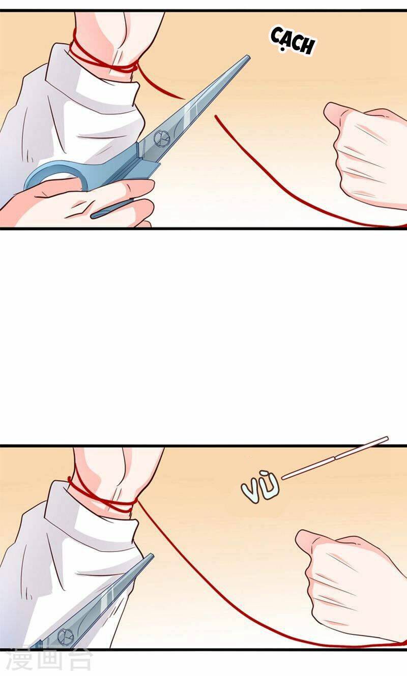 tôi bị gấu trúc nhìn trúng rồi chapter 19 5