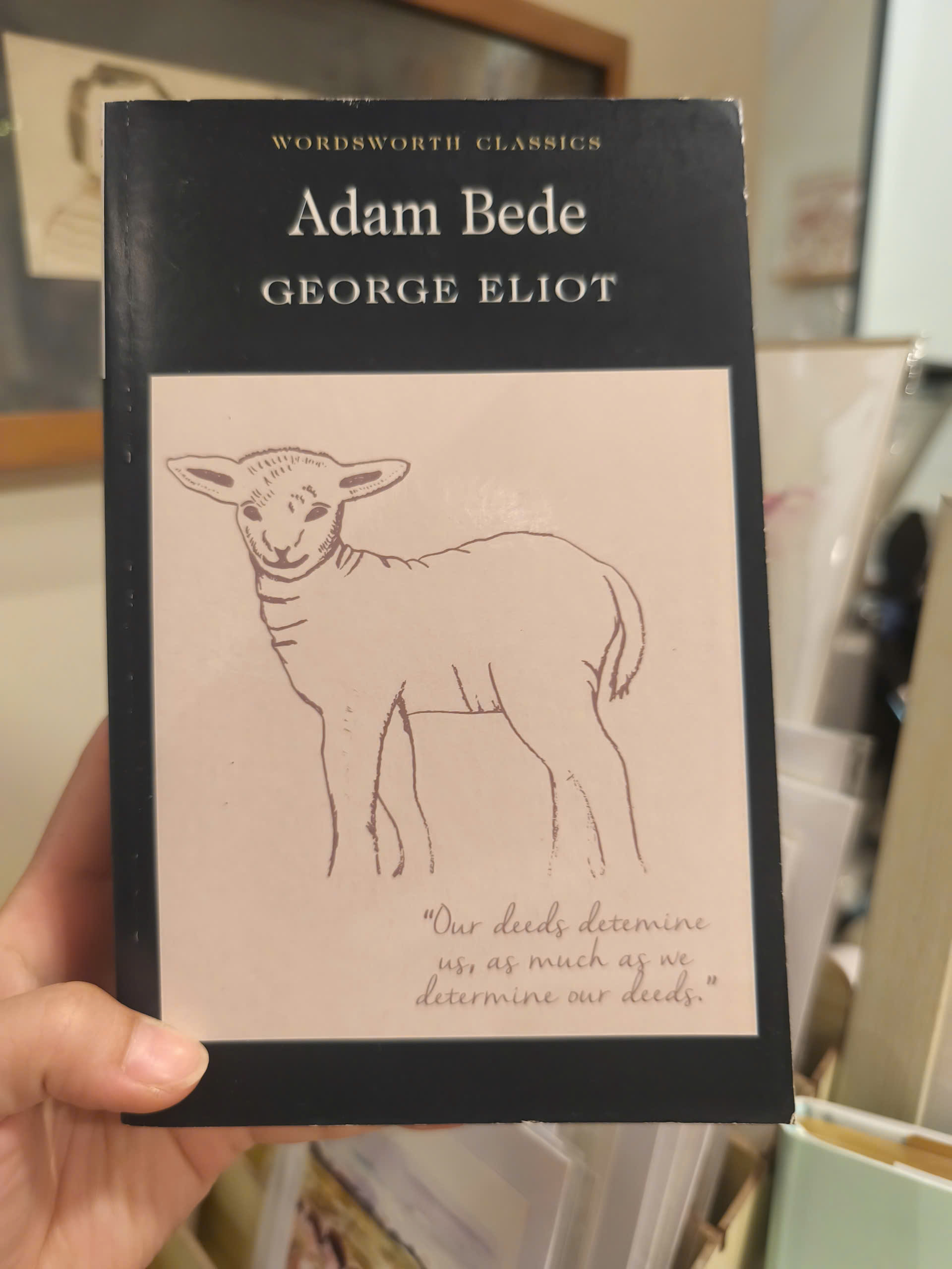 Sách - Adam Bede (Wordsworth Classics) by George Eliot