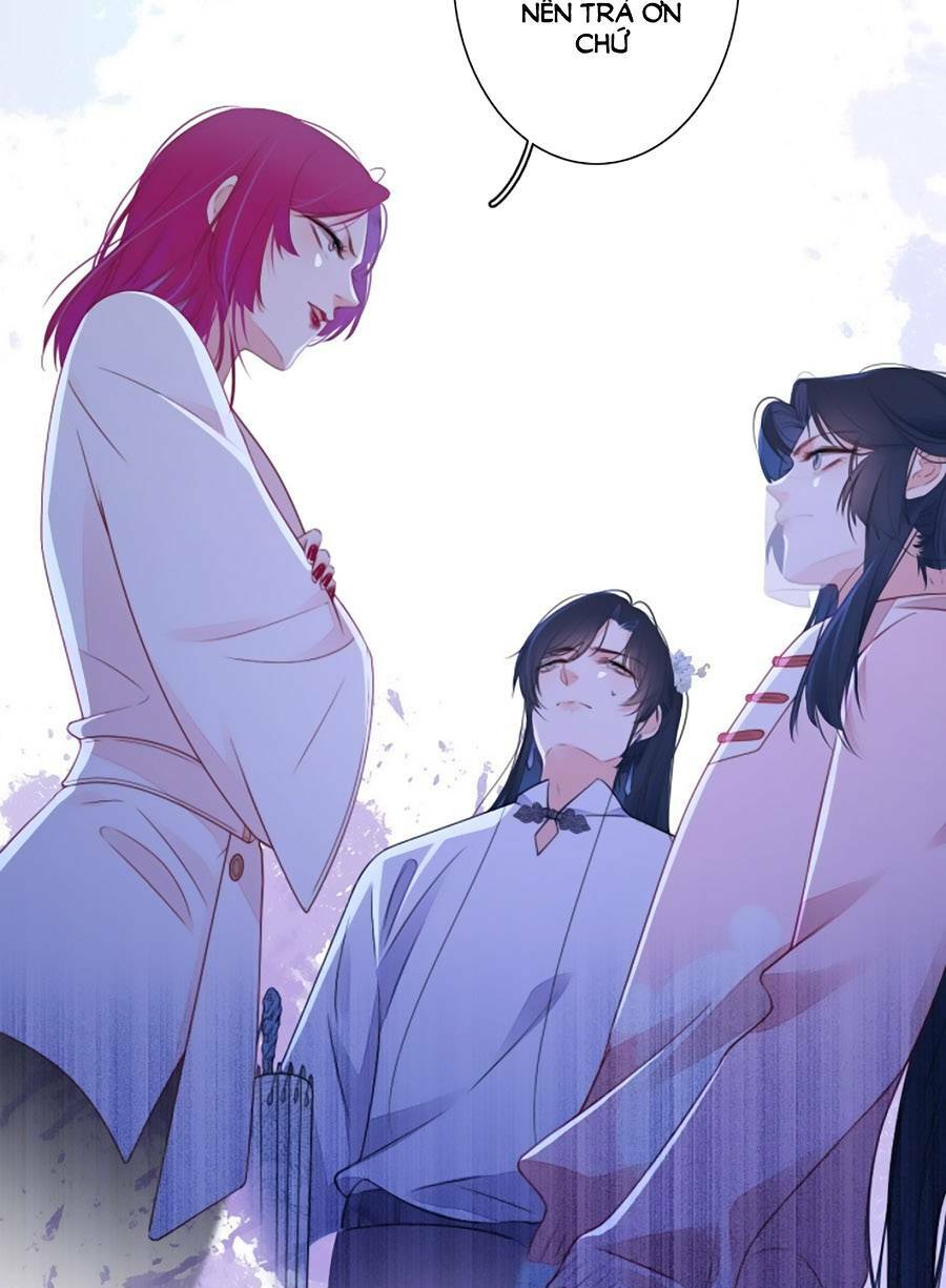 kim ốc tàng kiều chapter 29 31