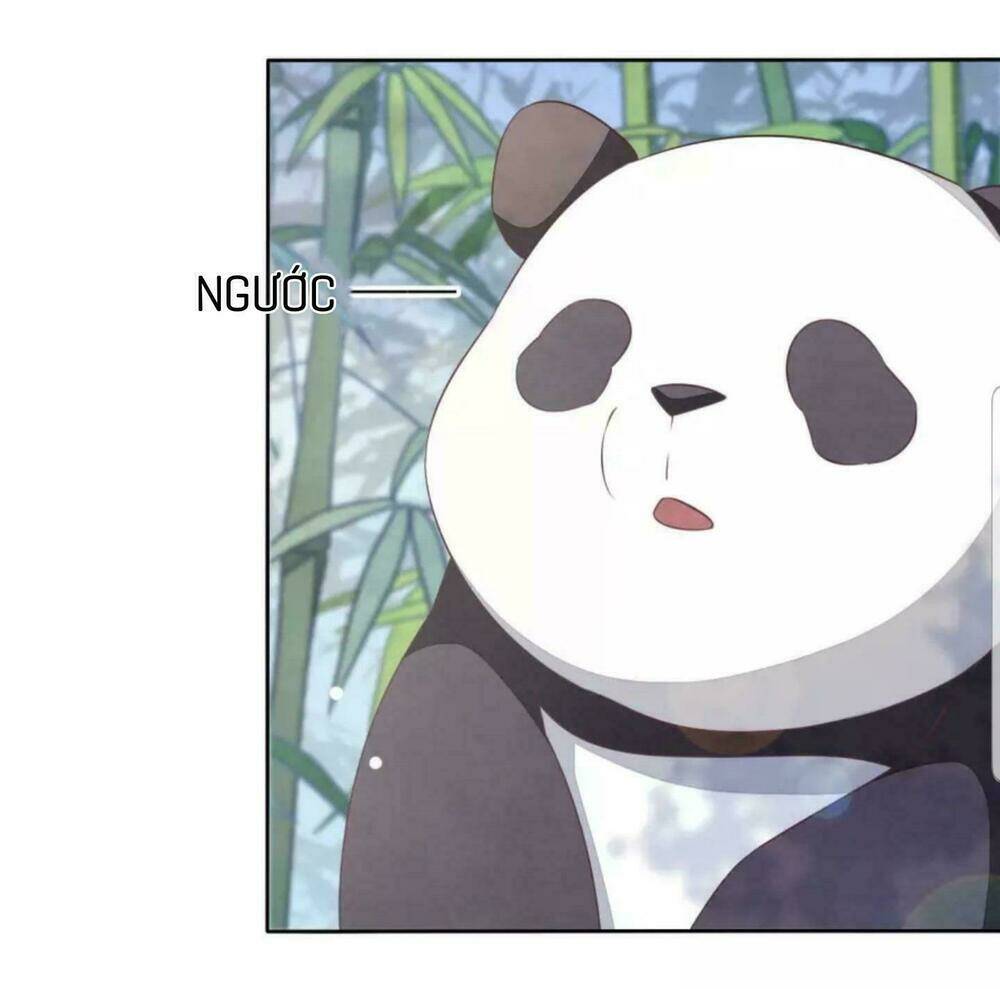 xuyên về cổ đại làm quốc bảo chapter 6 24