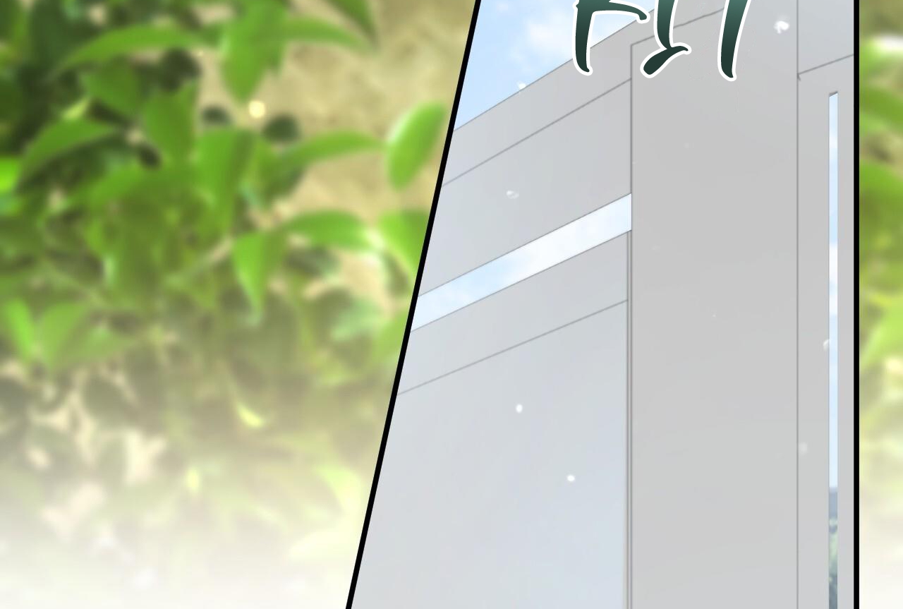 đàn thỏ của habibi chapter 65 269