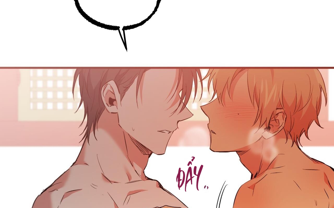 những chú thỏ của hapypy chapter 63 240