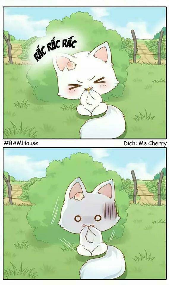 tiểu hồ ly vs tiểu hóa thượng chapter 12 10