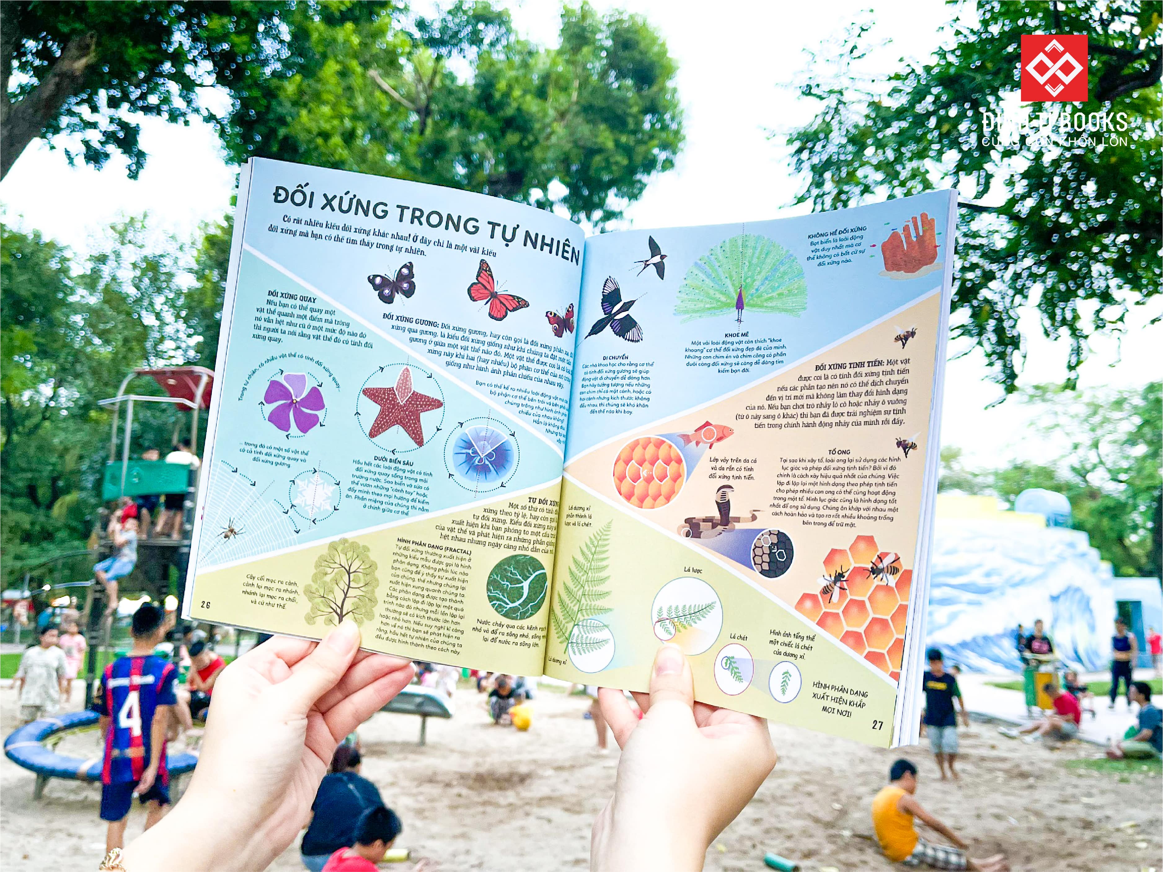 Sách - Khám phá Toán học thú vị quanh ta Dành cho độ tuổi 6+ Đinh Tị Books