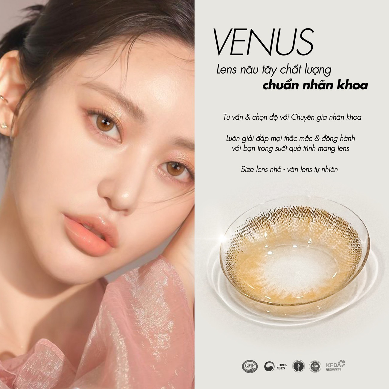 Lens nâu tây có cận 0-8 Venus hiệu Angel Eyes - Dòng kính áp tròng nâu Silicone Hydrogel cao cấp Hàn Quốc Dia 14.0