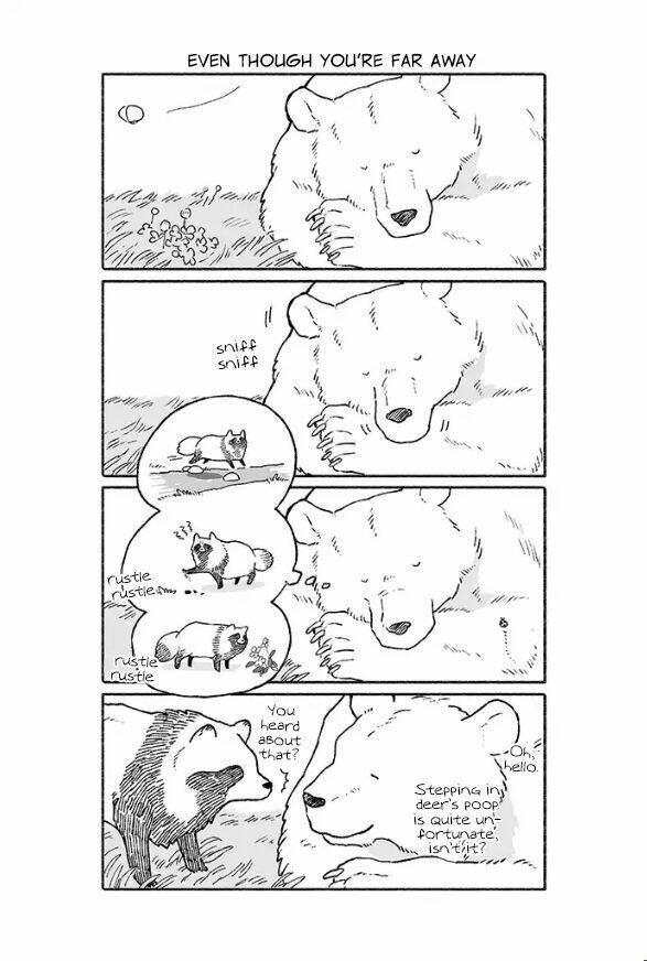 gấu và tanuki chapter 7 1