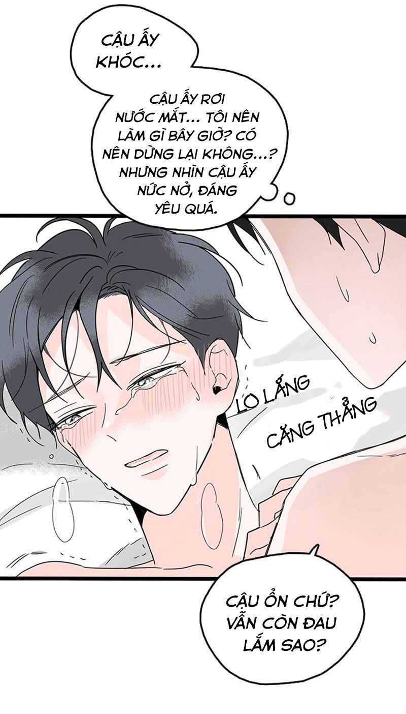 tình cờ yêu (full) chapter 5 14