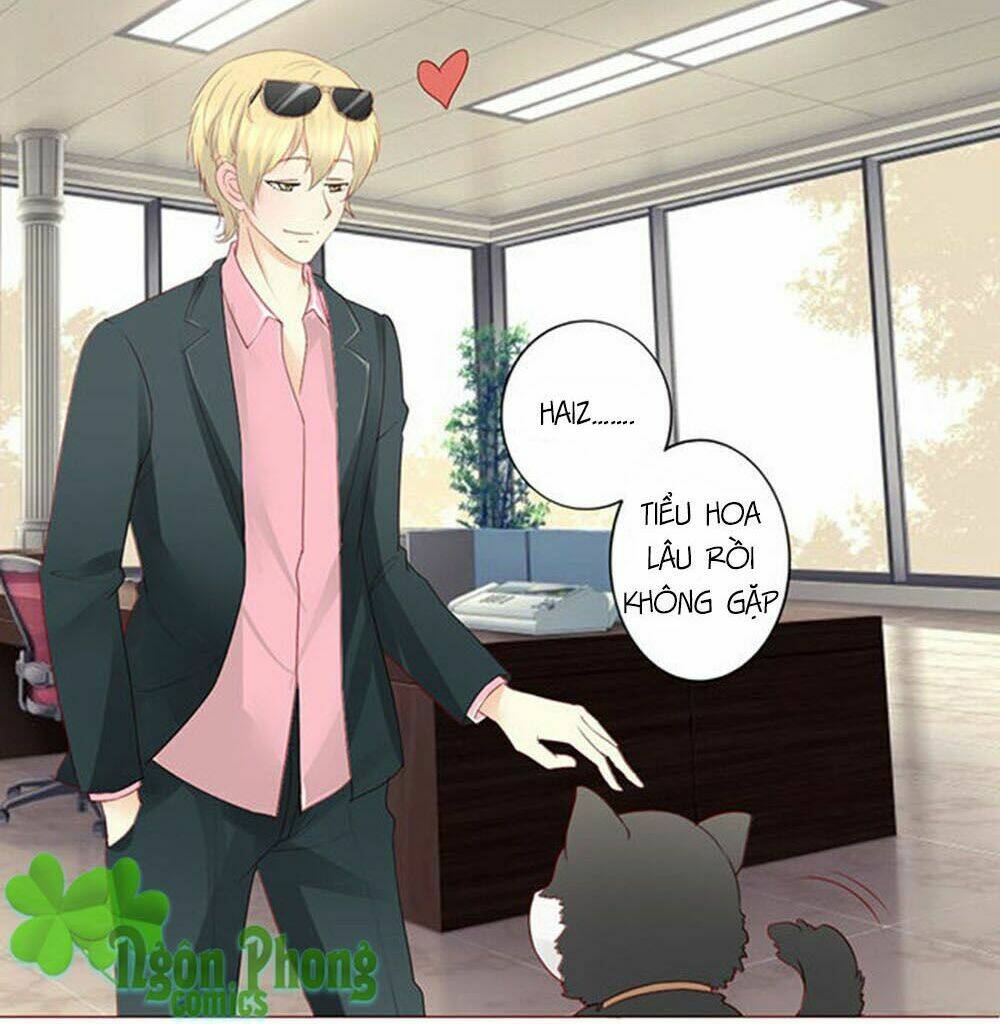 tổng tài bá đạo là gay chapter 6 15