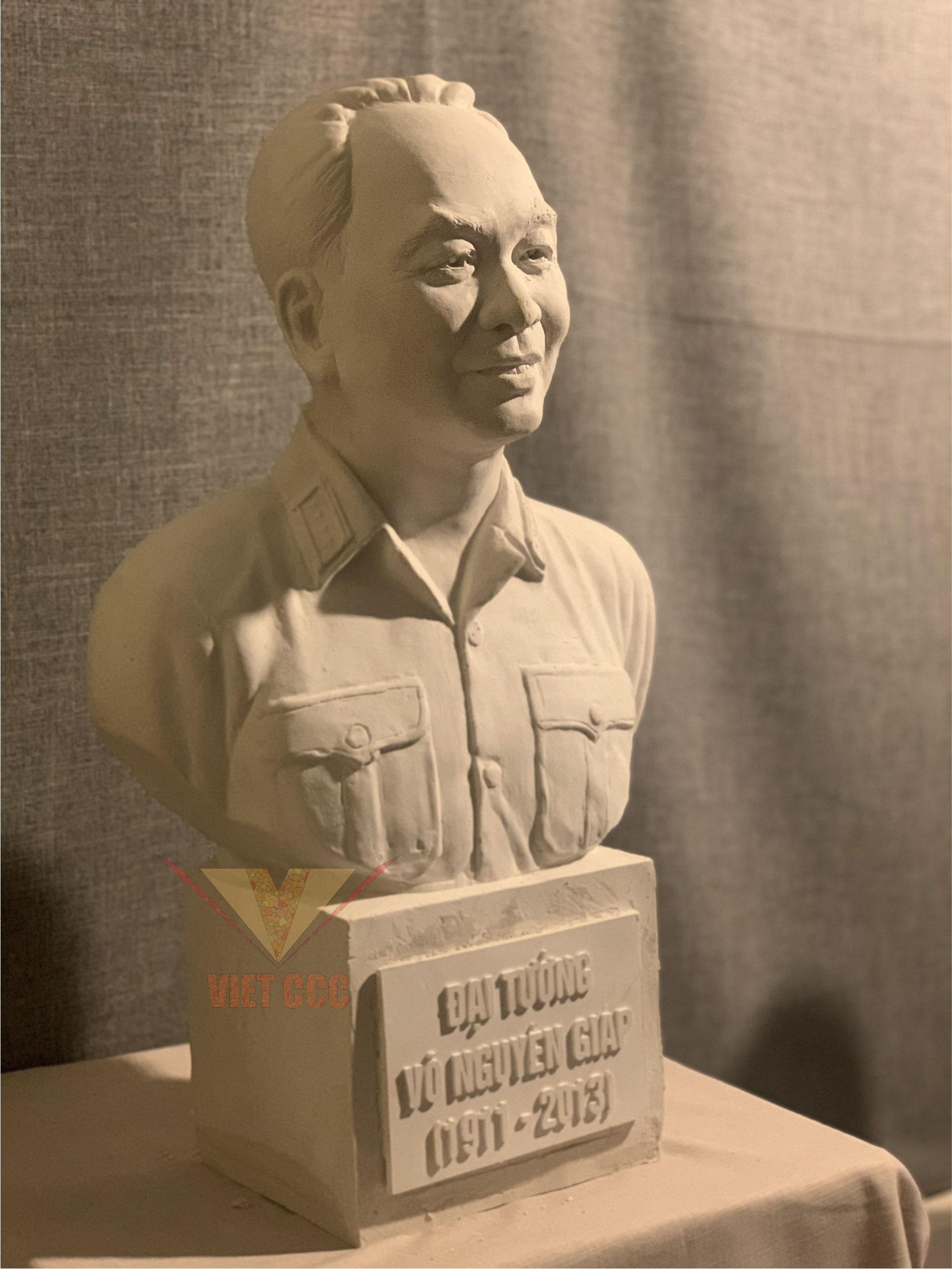 Tượng Cố Đại Tướng ️VÕ NGUYÊN GIÁP️ (1911-1913)