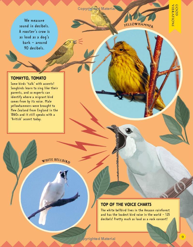 Sách ngoại văn: Animal Talk - All The Incredible Ways That Animals Communicate