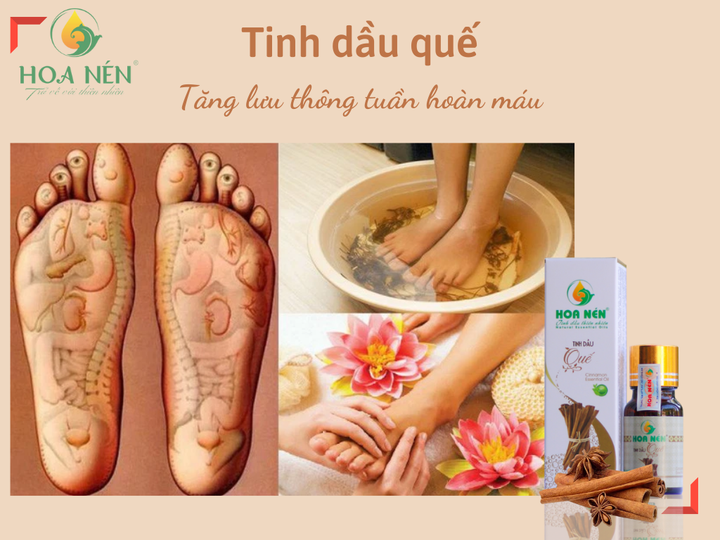 Tinh dầu Quế nguyên chất Hoa Nén 3ml- 100ml - Đuổi côn trùng, khử mùi, lọc không khí