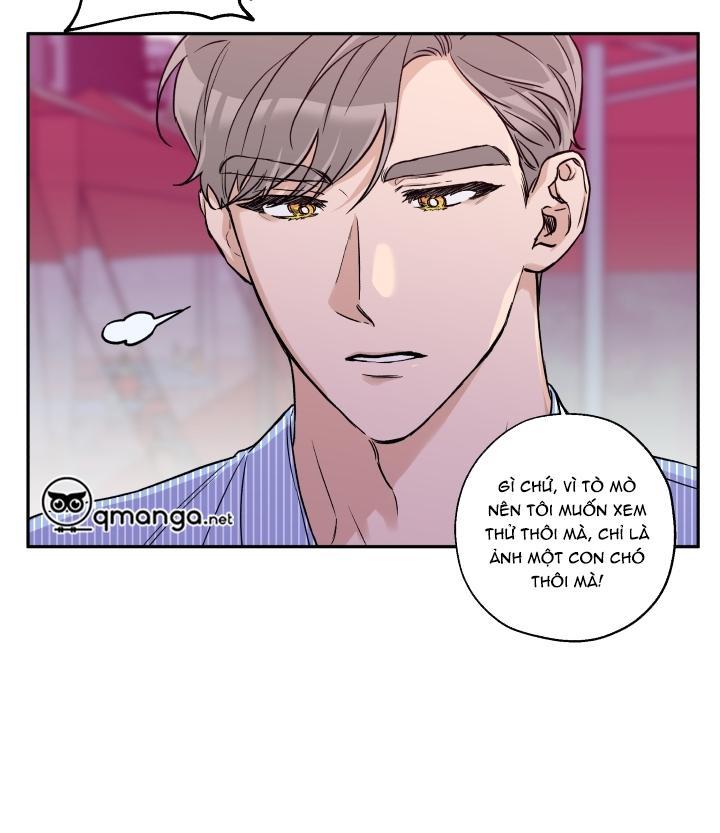 gâu gâu! chapter 18 59