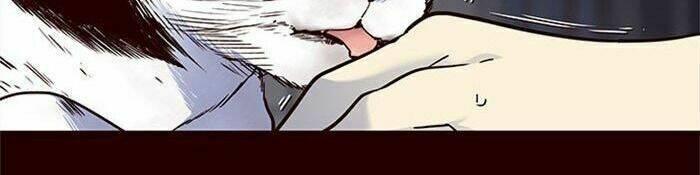 biến thân thành mèo chapter 36 29