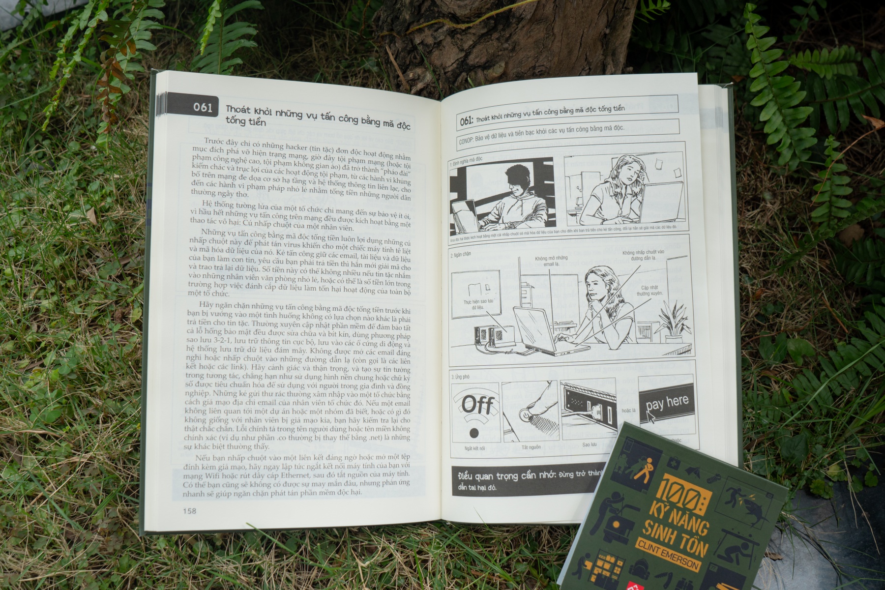 Sách Bách Khoa Tri Thức – 100 Kỹ Năng Sinh Tồn (Bản đặc biệt) – Đinh Tị Books