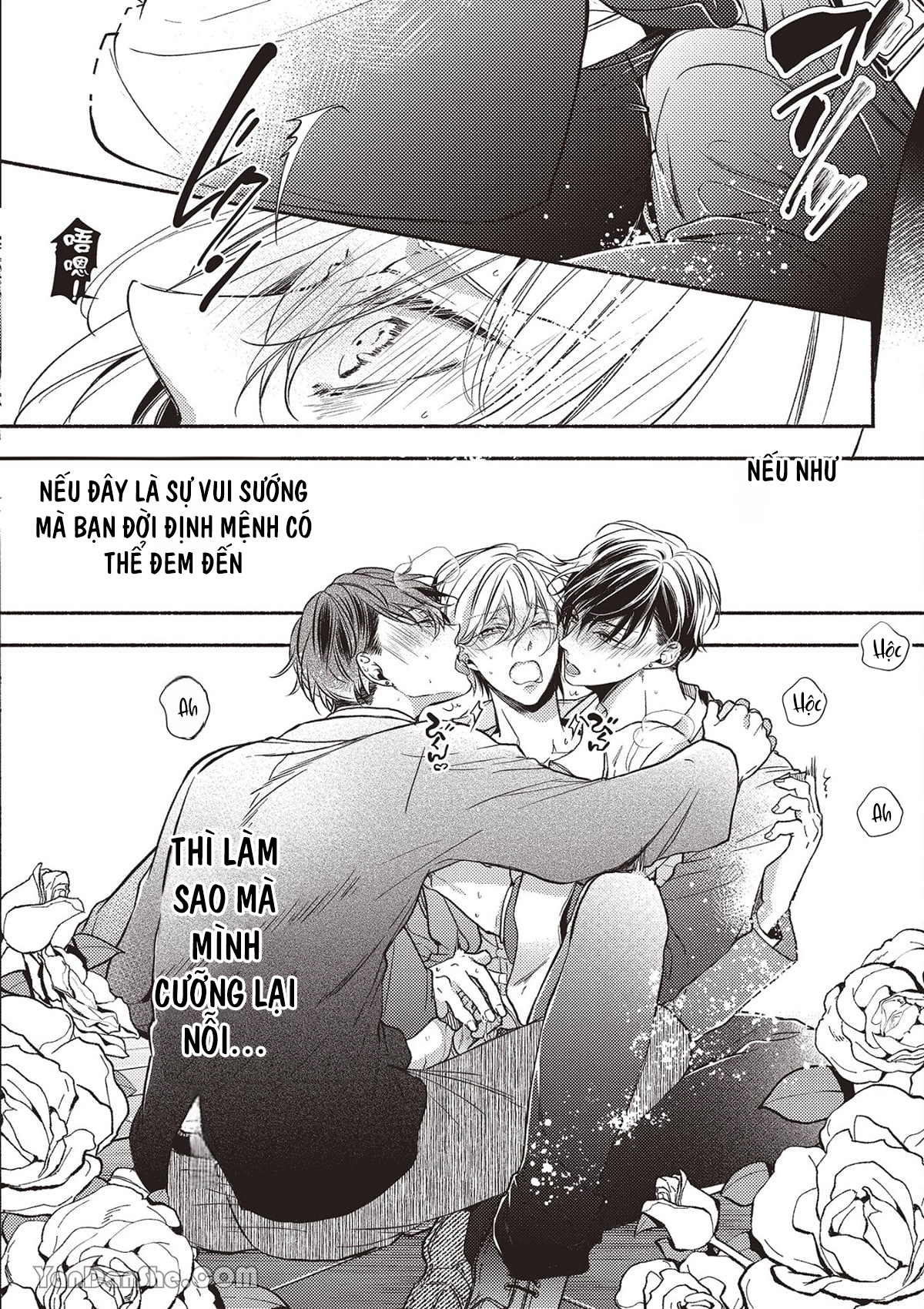 omega mạnh mẽ là bạn đời của chúng tôi chapter 1.1 14