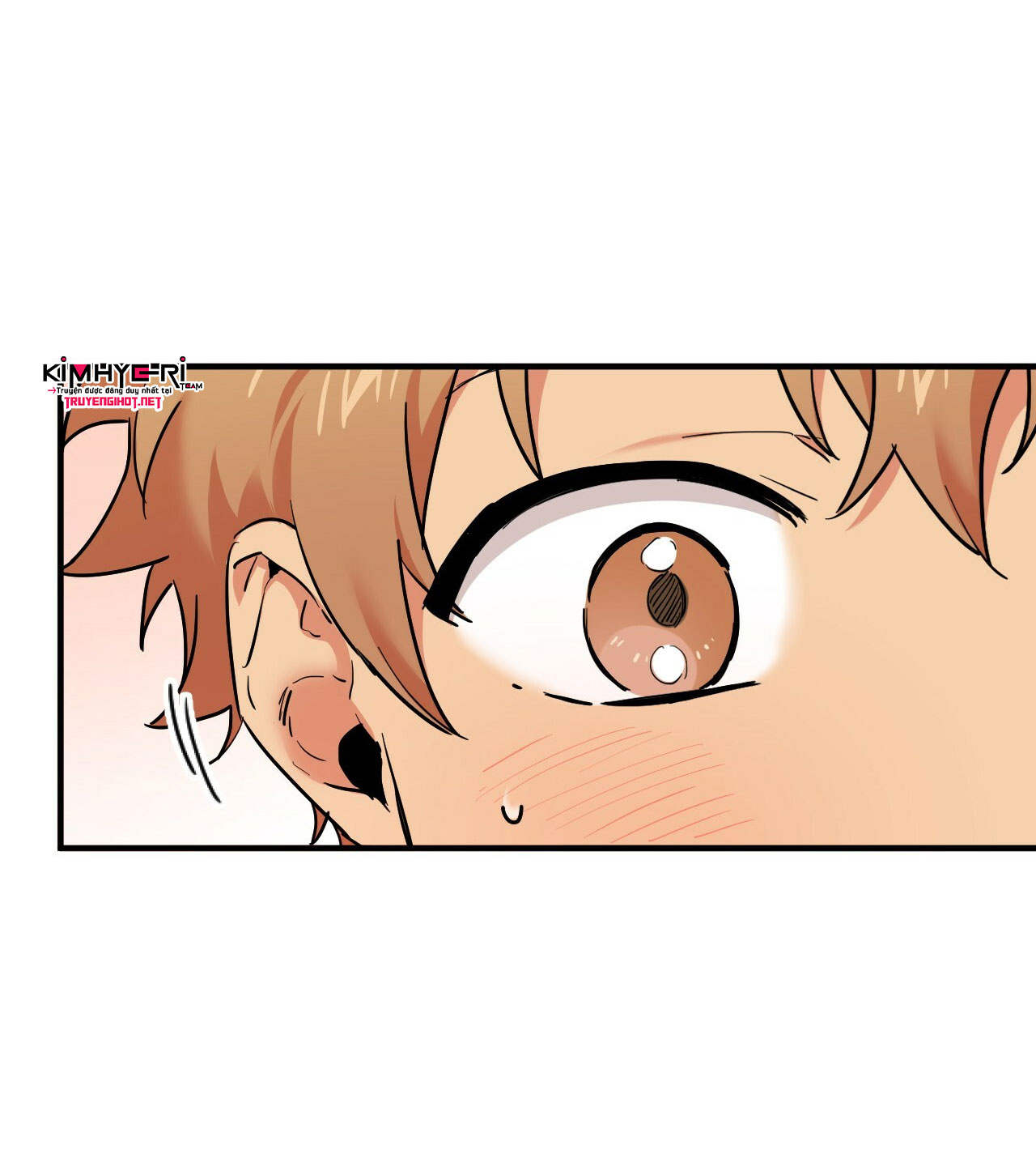 những chú thỏ của hapypy chapter 4 2