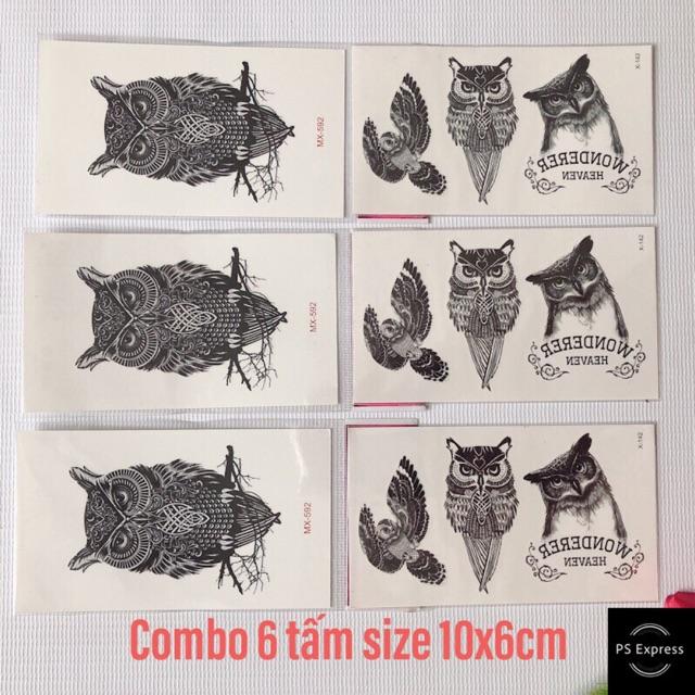 Combo 6 tấm hình xăm dán cú mèo 10x6cm