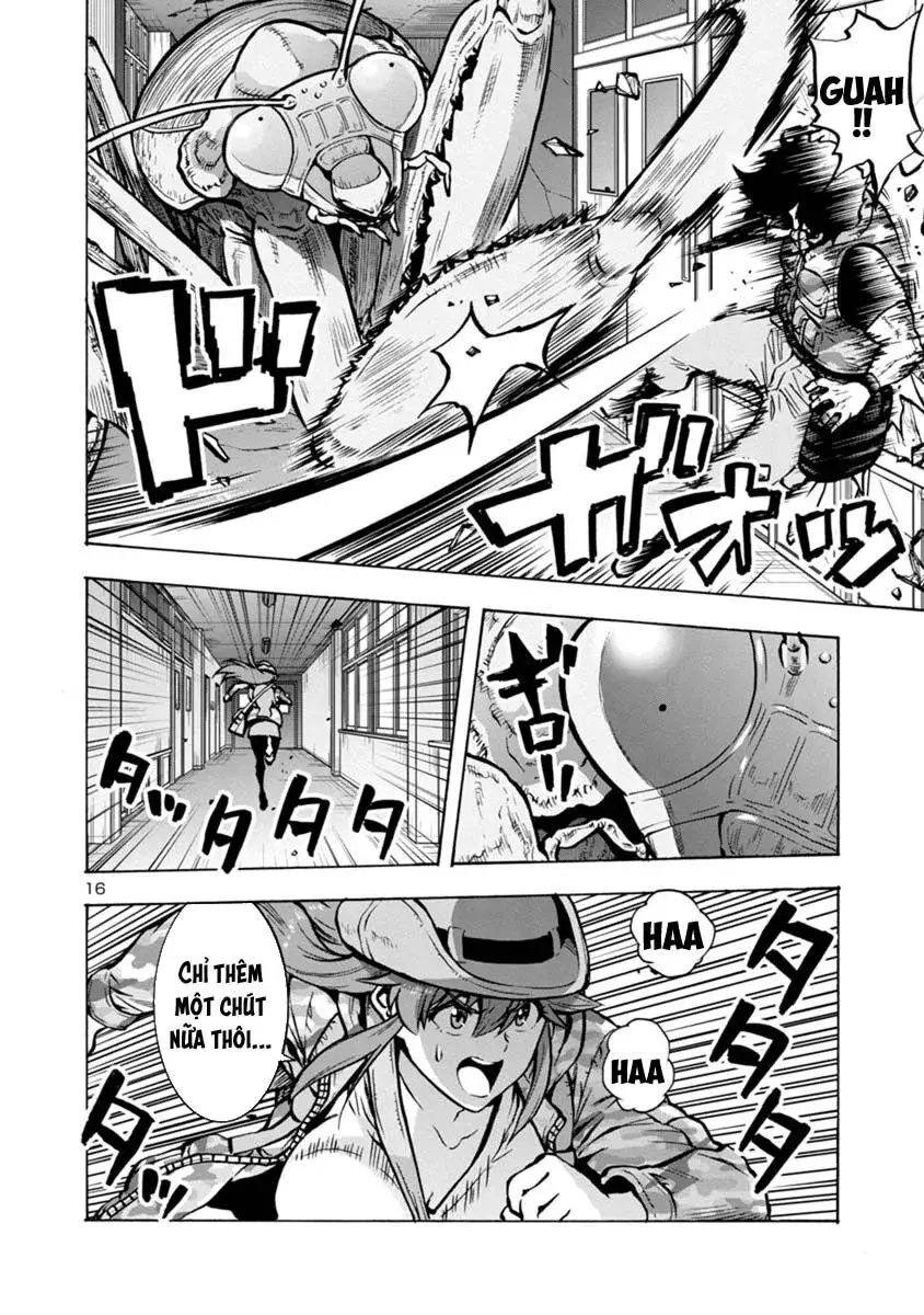 Siêu Đảo Côn Trùng chapter 15.1 30