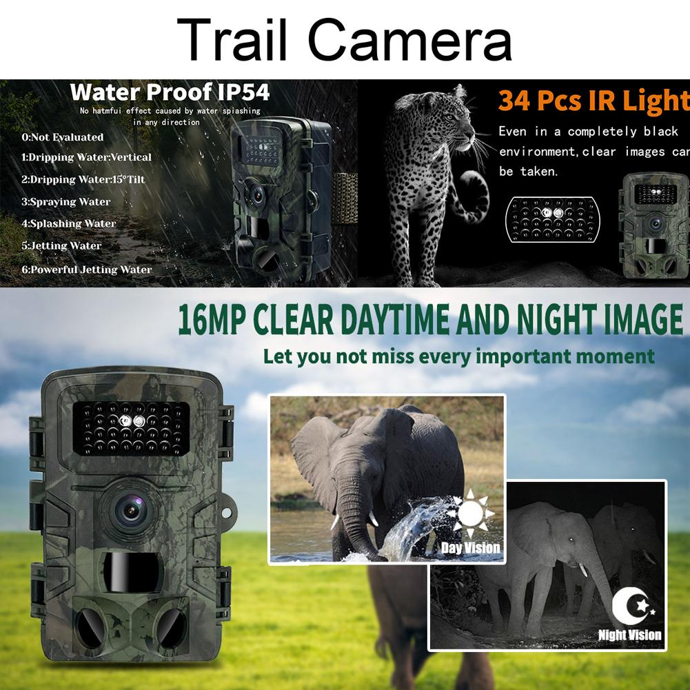 Camera Chụp Ảnh Ngày Đêm 16Mp 1080P