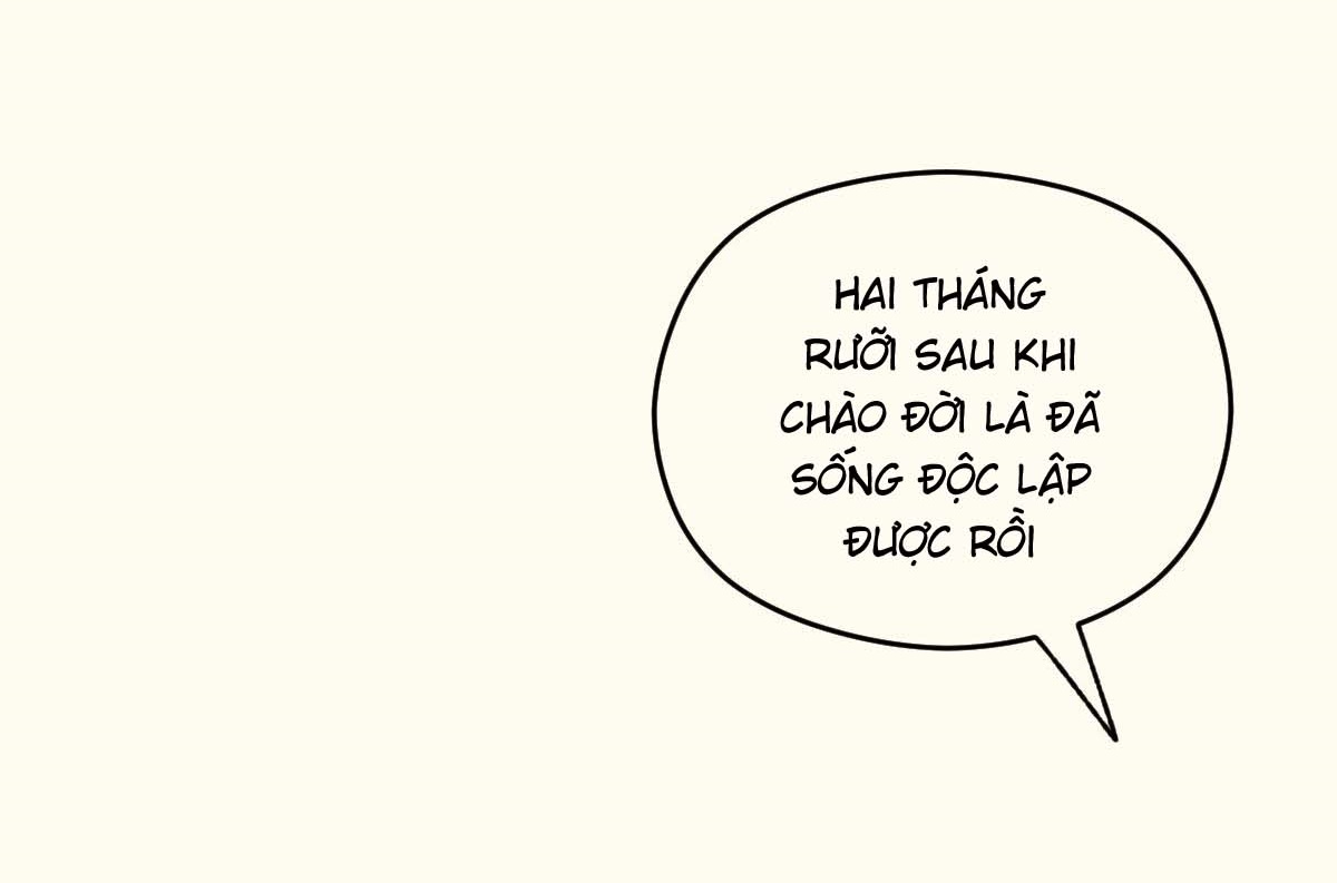 tương phùng chapter 27 69