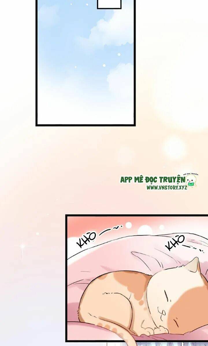 trạch thượng tịch mịch huỳnh hỏa chapter 28 2