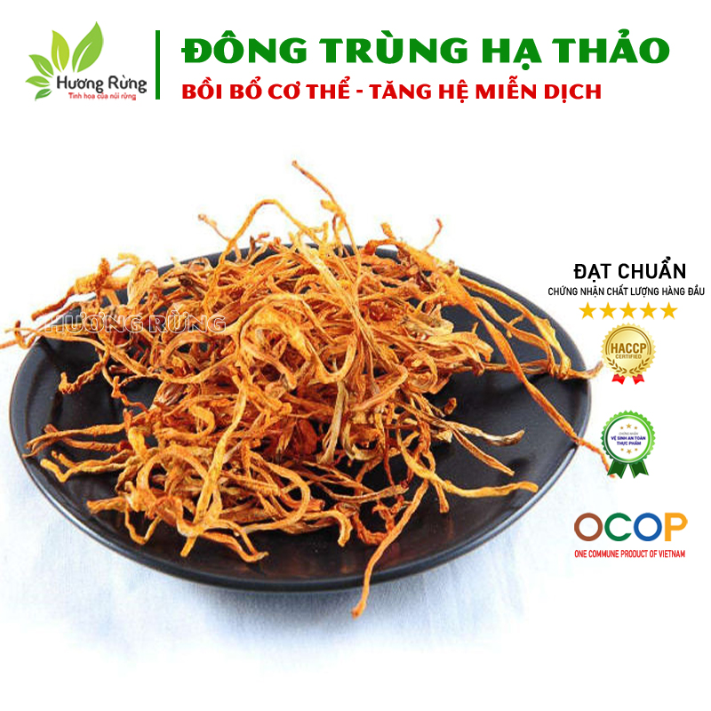 ĐÔNG TRÙNG HẠ THẢO 200g sấy khô thượng hạng