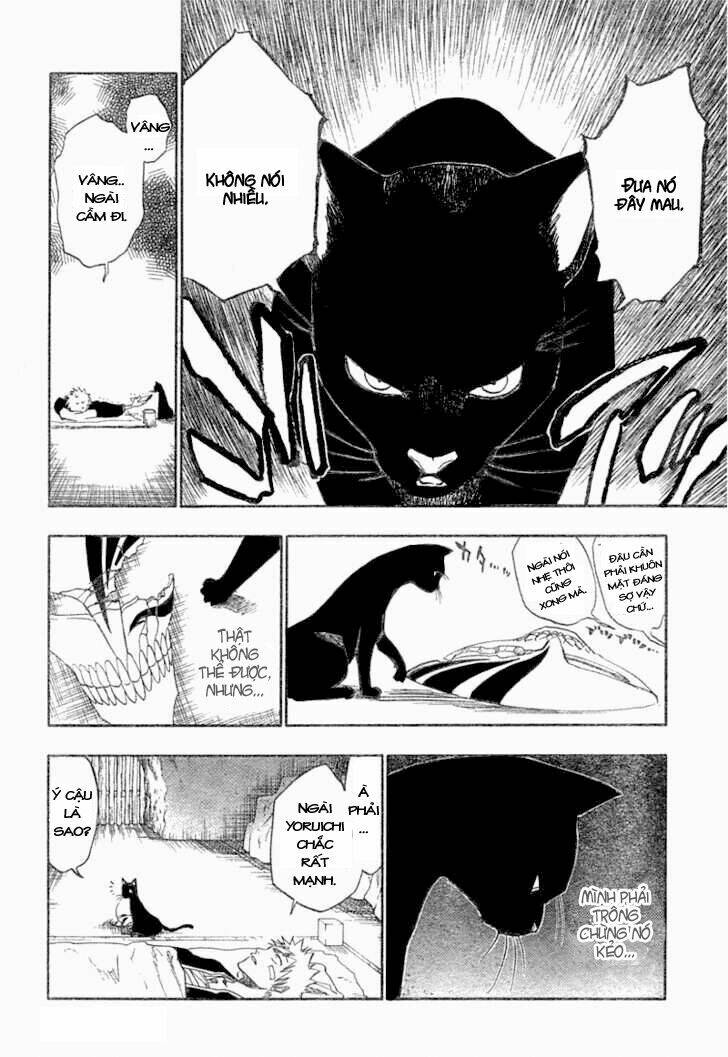 thần chết ichigo chapter 116 19