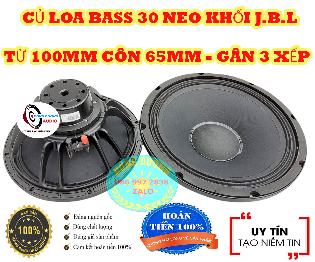 CỦ LOA 30 TỪ NEO CÔN 65MM DÂY DẸT - LOA BASS 30 - CỦ LOA 3 TẤC - CỦ LOA RỜI