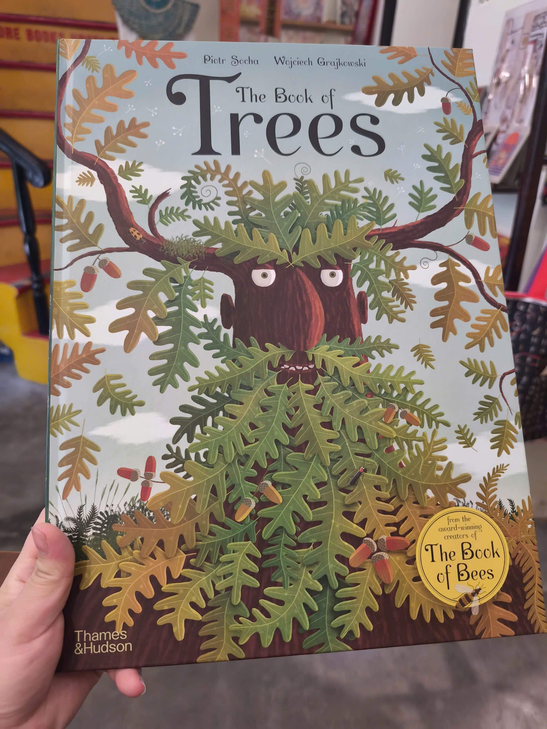 Sách - The Book of Trees by Piotr Socha | Childrens Picture Book / Ngoại văn Thiếu nhi Bìa cứng