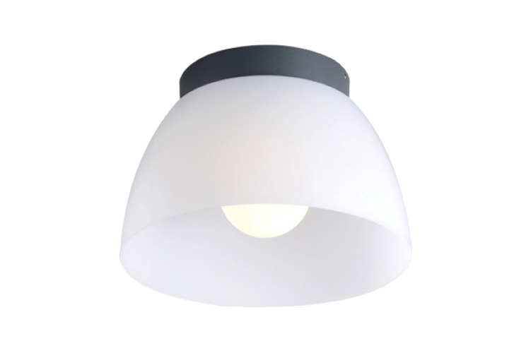 Đèn LED ốp trần ngoại thất DSLUX - 2741