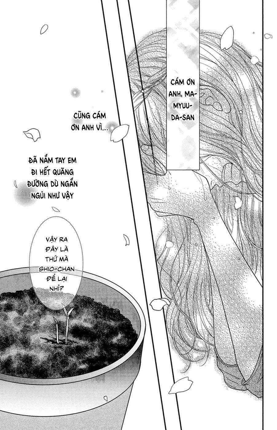 đóa hoa năm ấy chapter 4 42