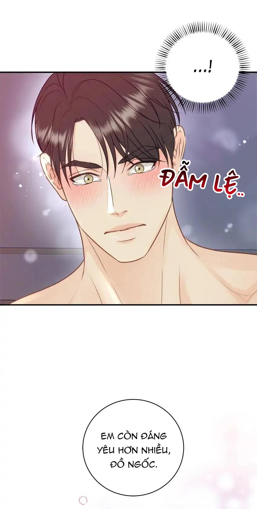 hạnh phúc trọn vẹn chapter 39 43