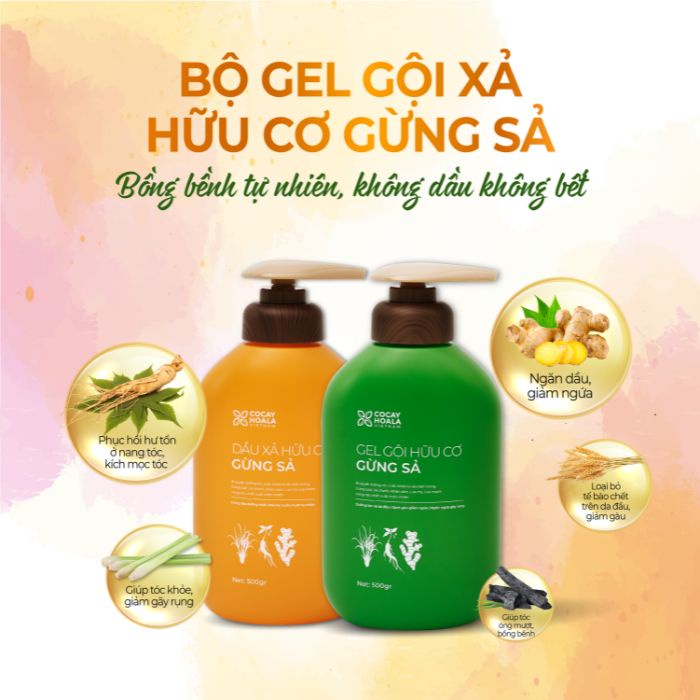 Combo Dầu Gội Xả Hữu Cơ Gừng Sả - Làm sạch sâu da đầu, giảm dầu bết 500g