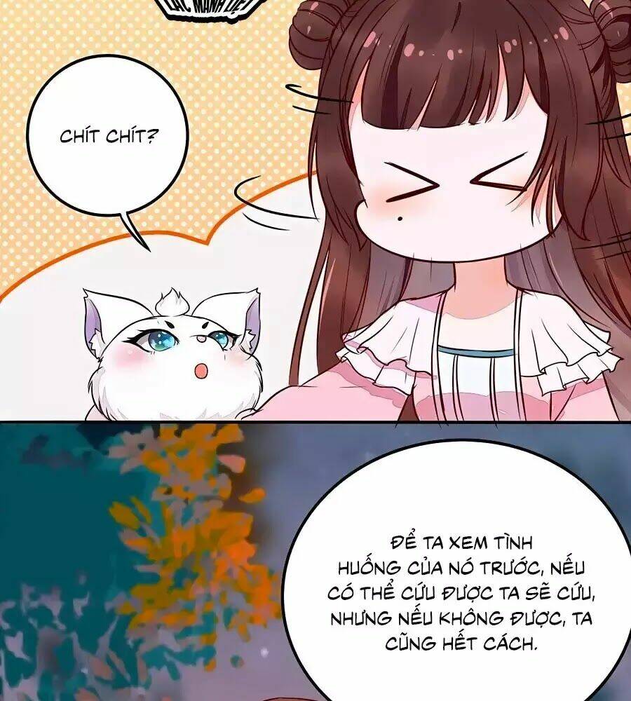 thần y khí nữ: ngự thú cuồng phi của quỷ đế chapter 70 22