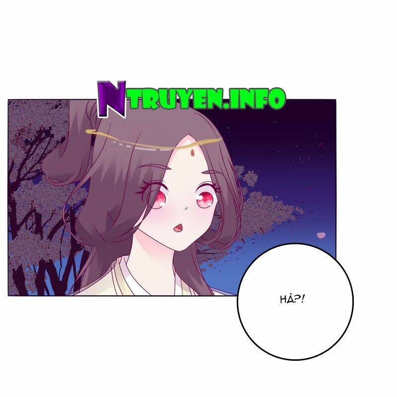 tướng quân mời ra trận chapter 19 12