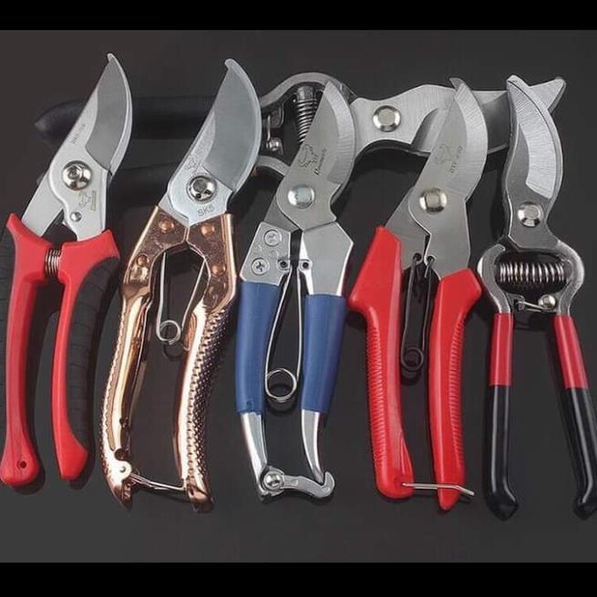 Kéo cắt tỉa cây cảnh - kéo cắt cành