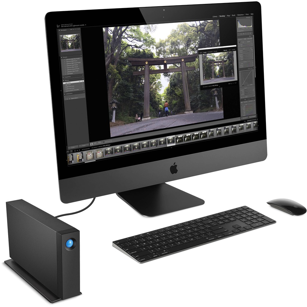 Ổ cứng để bàn LACIE D2 PRO 4TB USB-C + SRS - Hàng chính hãng