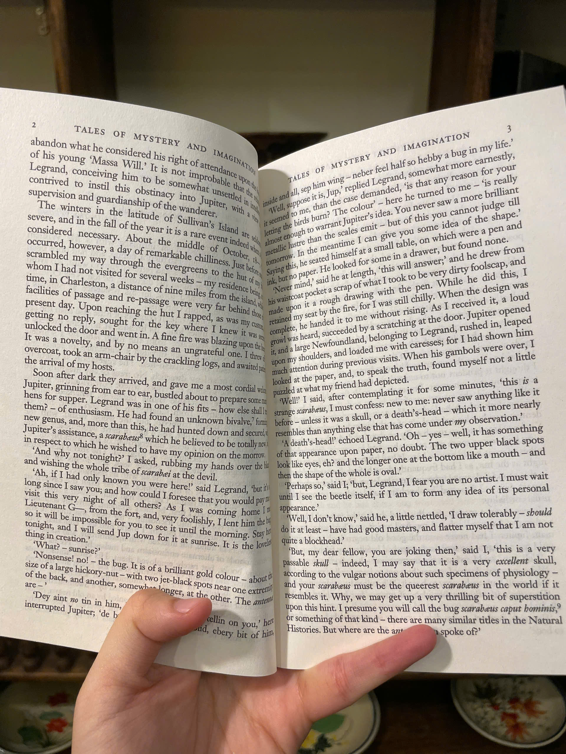 Sách - Tales of Mystery and Imagination by Edgar Allan Poe | English Horror Short Stories Collection