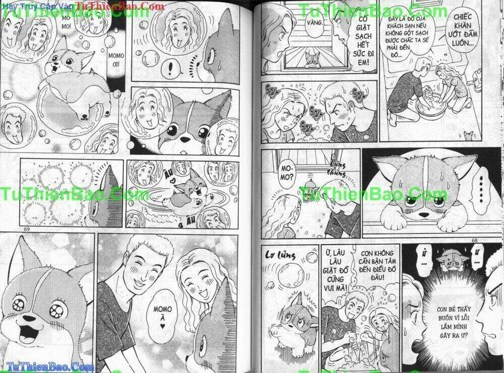 chó con mo mo chapter 4 35