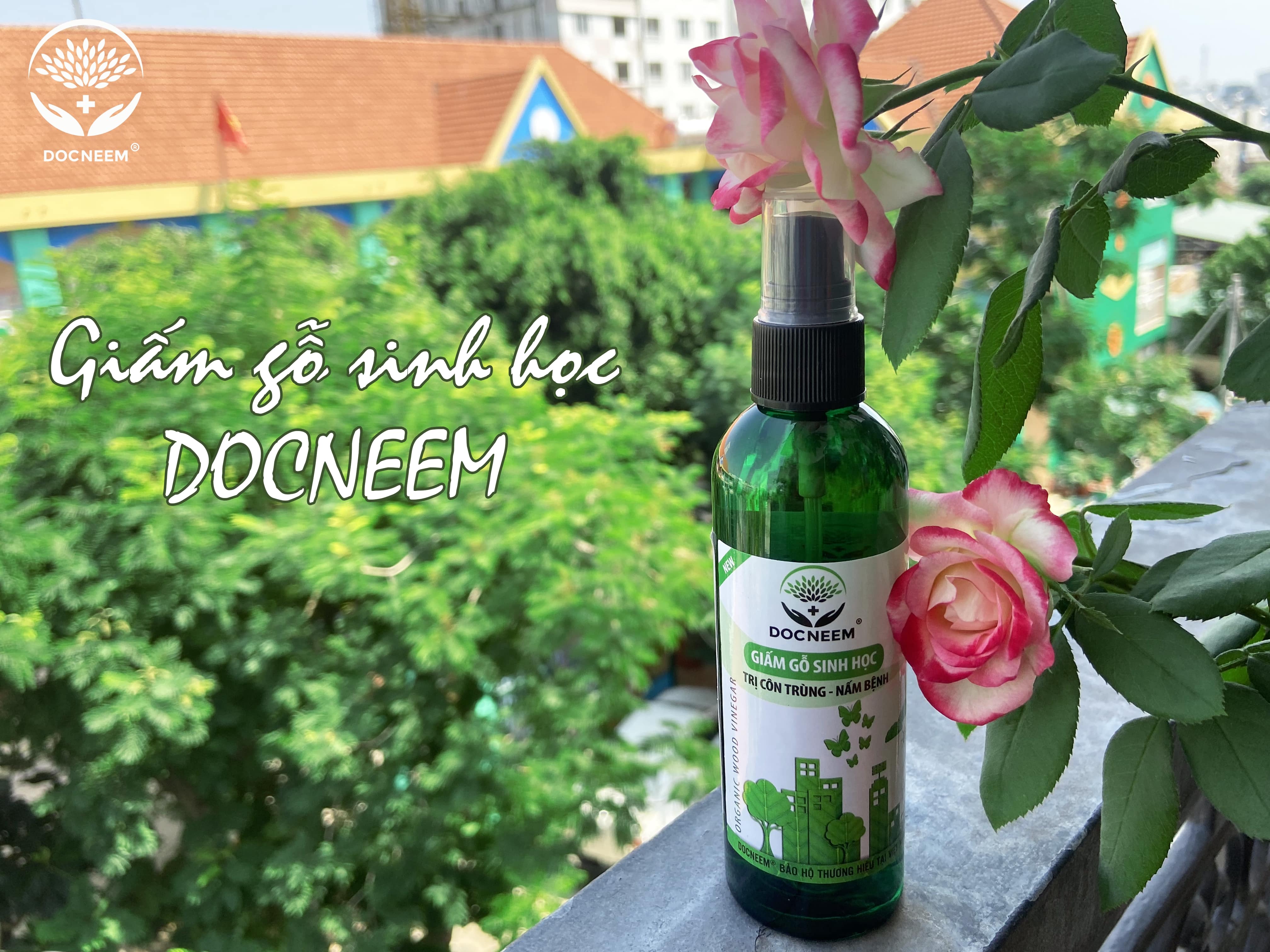 Giấm Gỗ Sinh Học DOCNEEM xua đuổi côn trùng sâu bệnh, trị nấm, bọ trĩ, nhện, rệp, dạng hữu cơ an toàn tuyệt đối, chai dạng phun, dung tích 100ml, chính hãng thương hiệu DOCNEEM