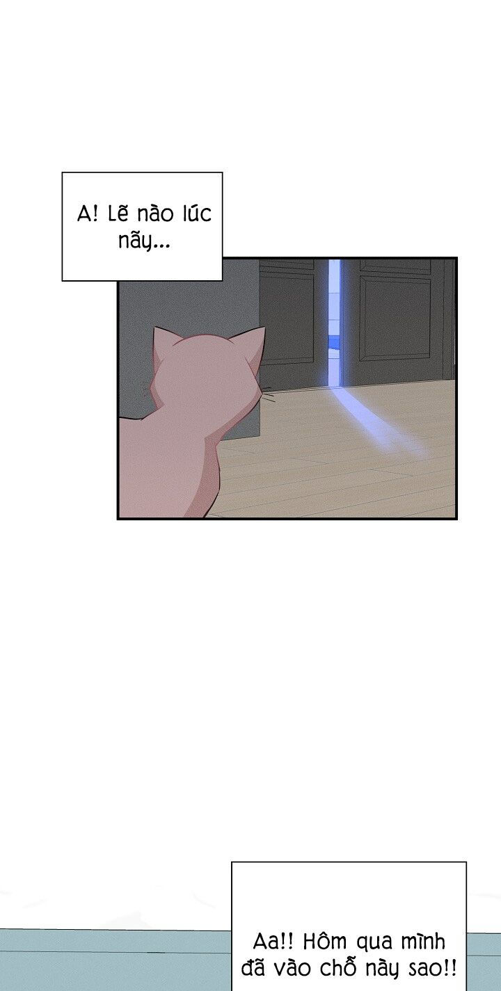 cuộc sống kỳ thú chapter 35 11