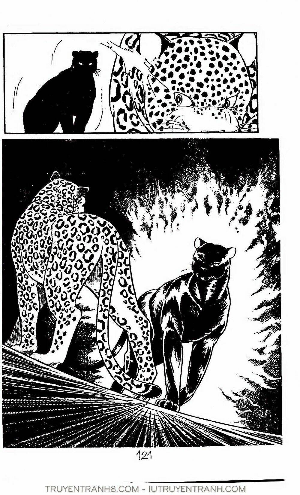 mimi kỳ lạ chapter 36.2 15