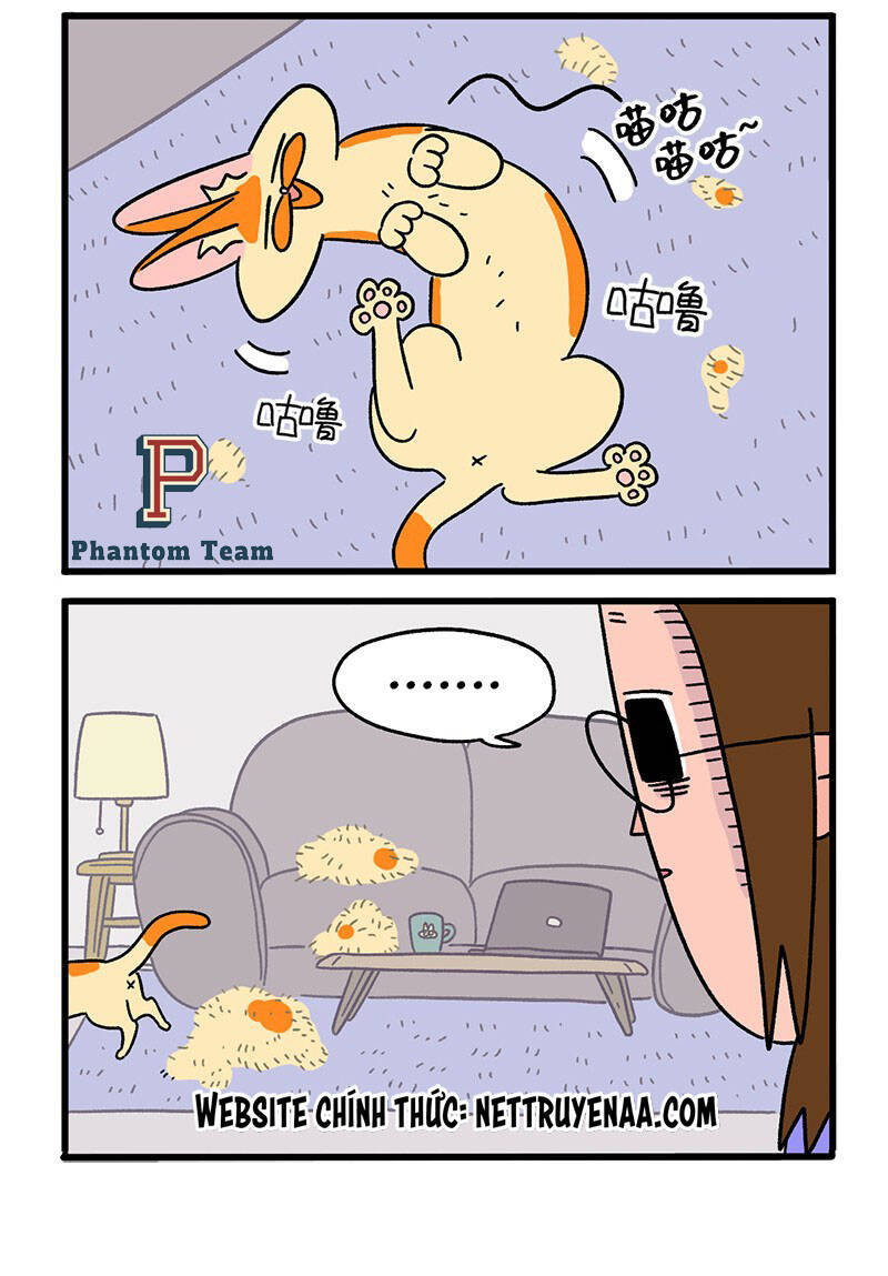 a mãn và mạch trà chapter 24 4